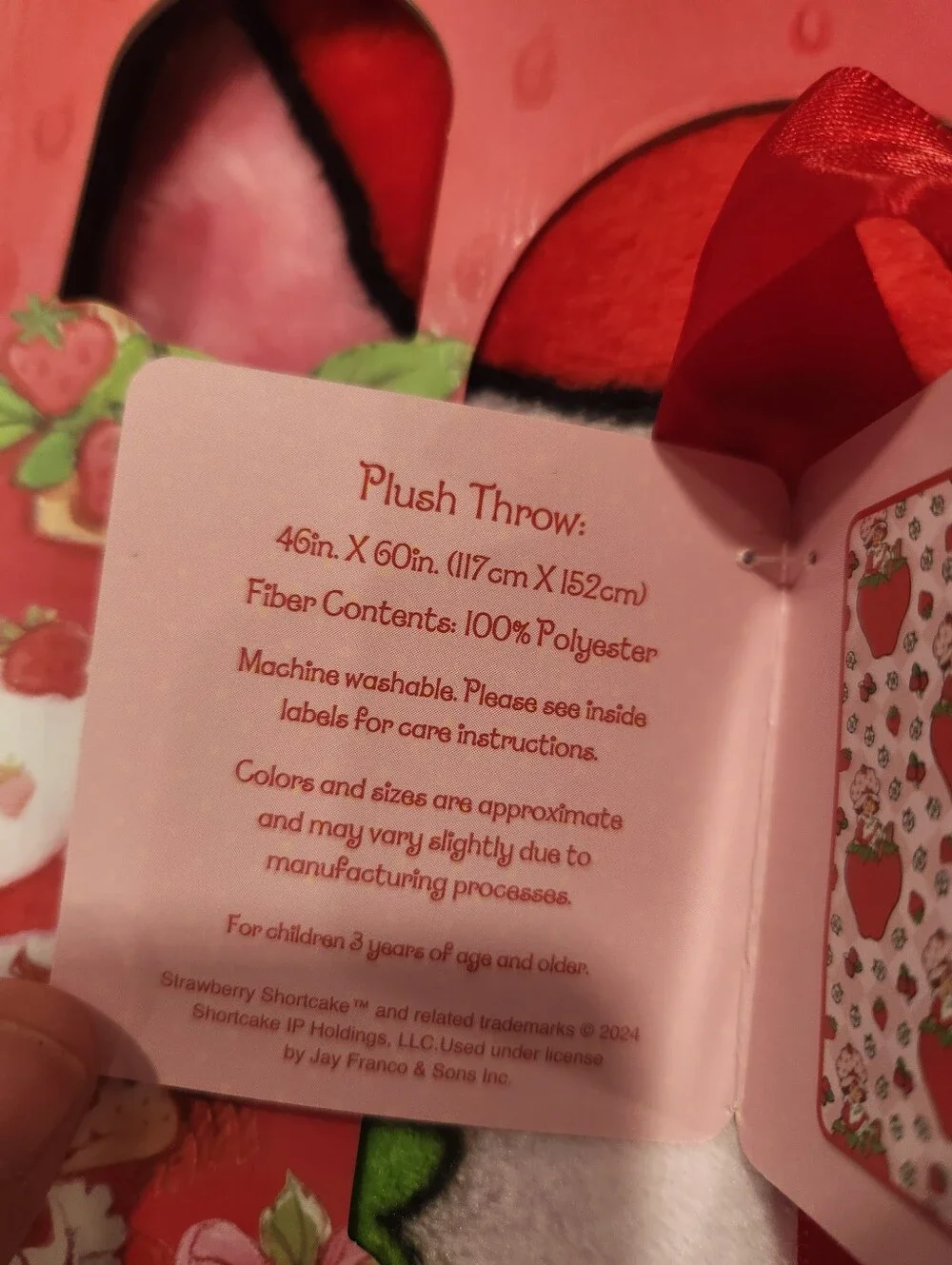 Strawberry Shortcake Plush Throw Blanket